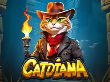 Daman Casino screenshot